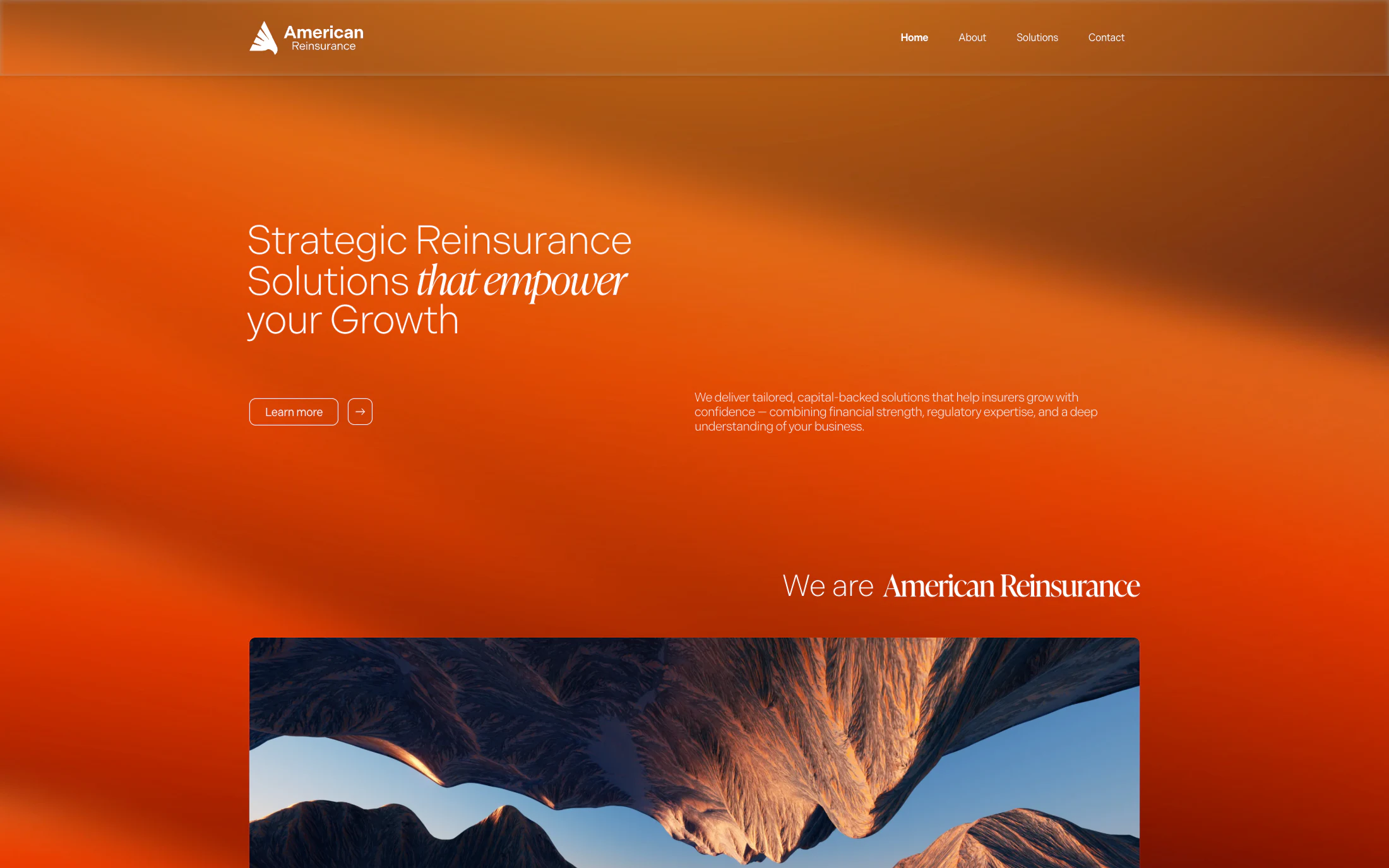 American Reinsurance website project