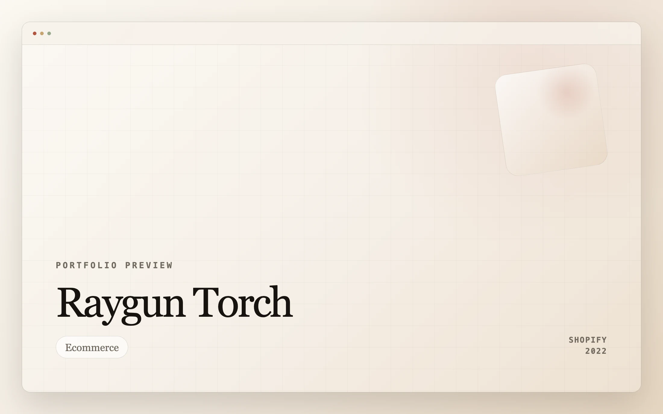 Raygun Torch homepage screenshot — Shopify project by Adnan Khan