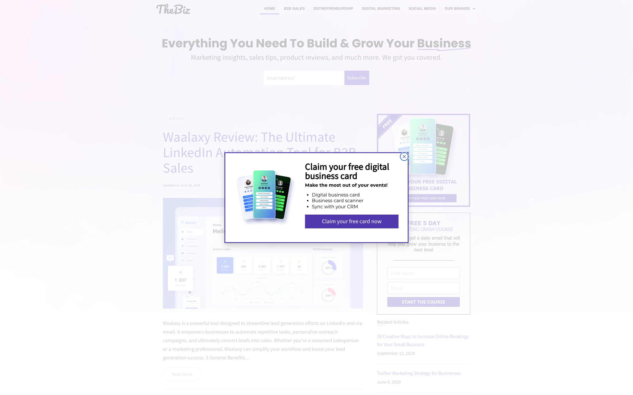 TheBiz homepage screenshot — WordPress project by Adnan Khan