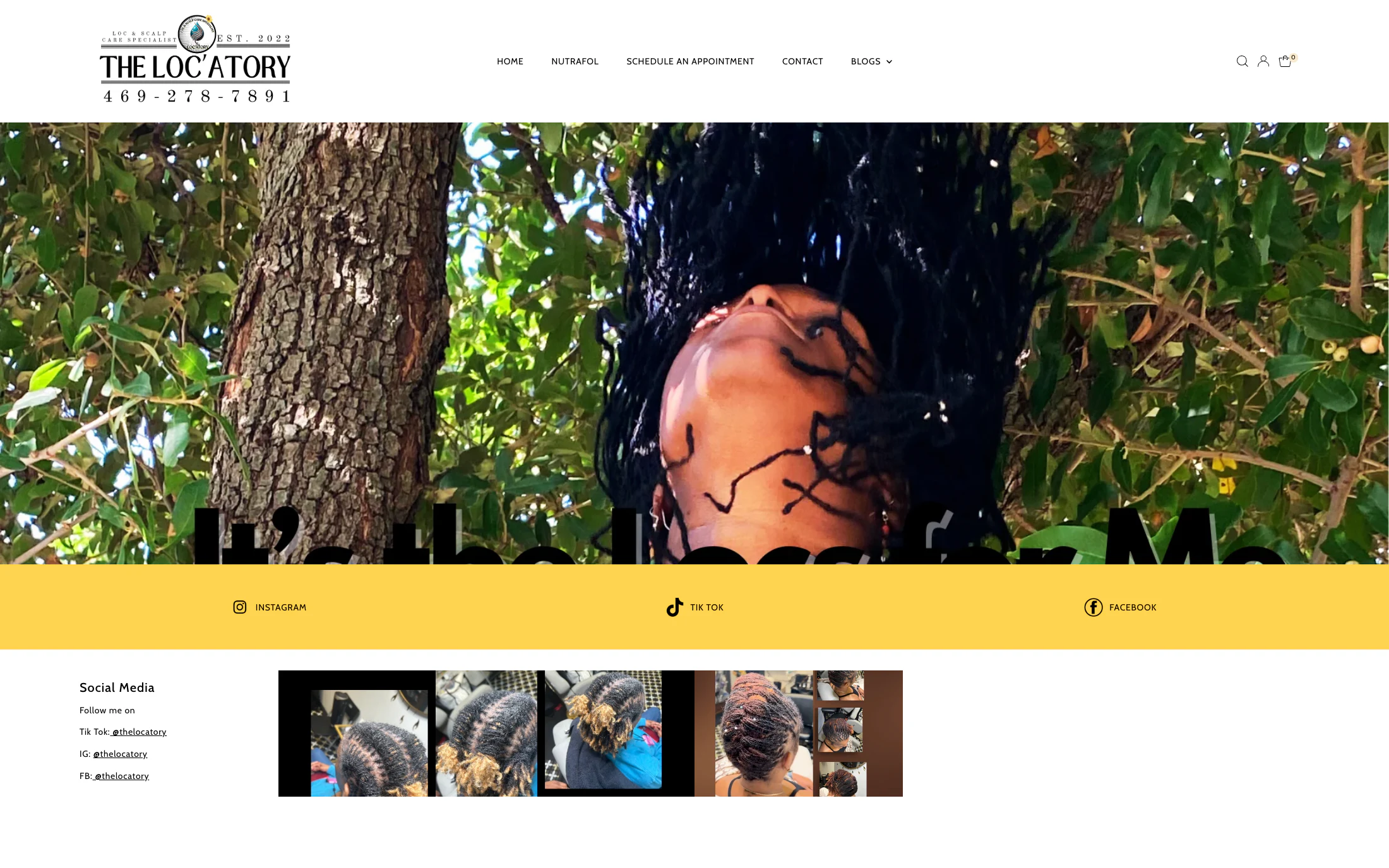 The Locatory homepage screenshot — WordPress project by Adnan Khan