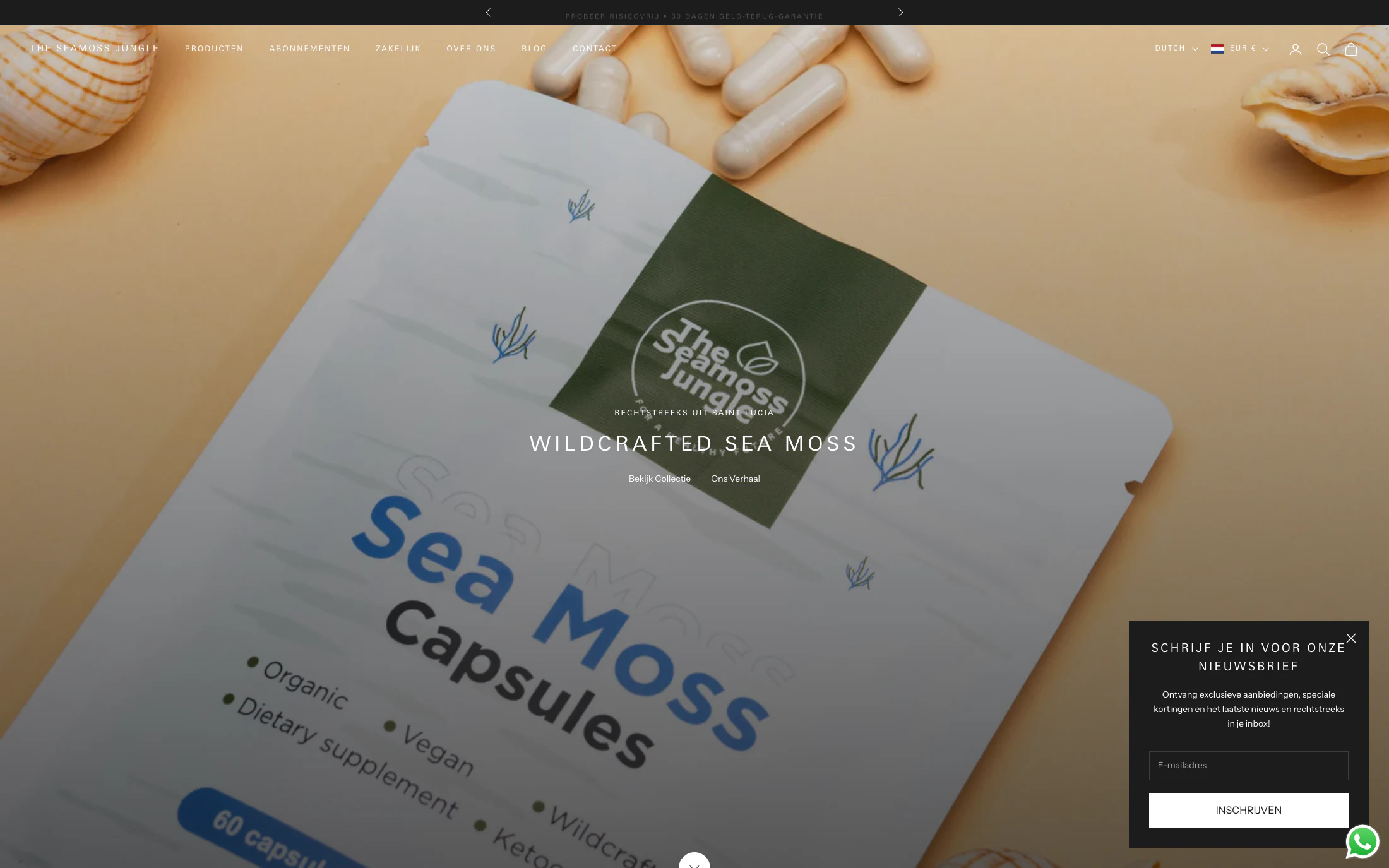The Sea Moss Jungle homepage screenshot — Shopify project by Adnan Khan